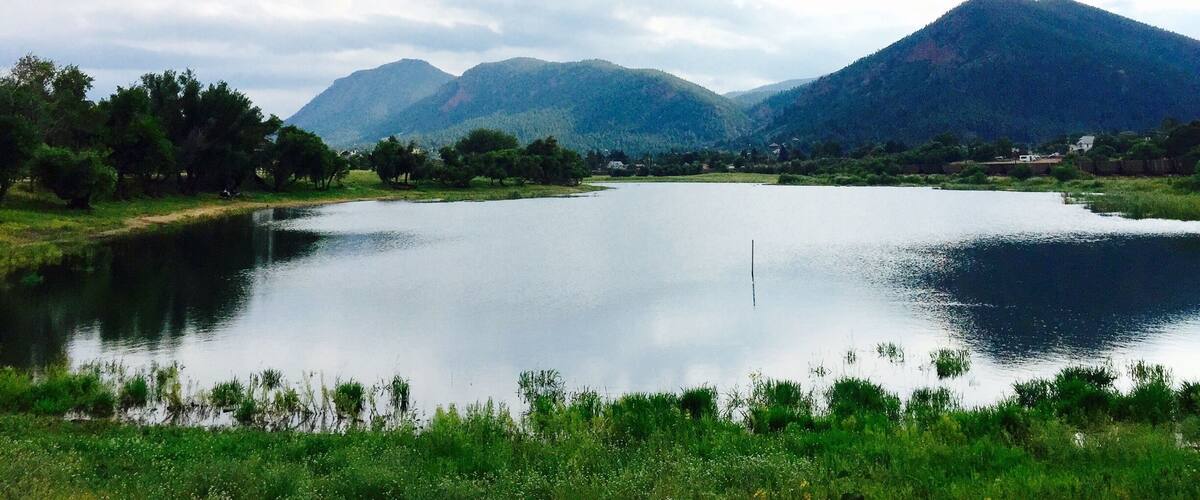 Discovered this stunning beauty in the old suburb town of Palmer Lake, CO