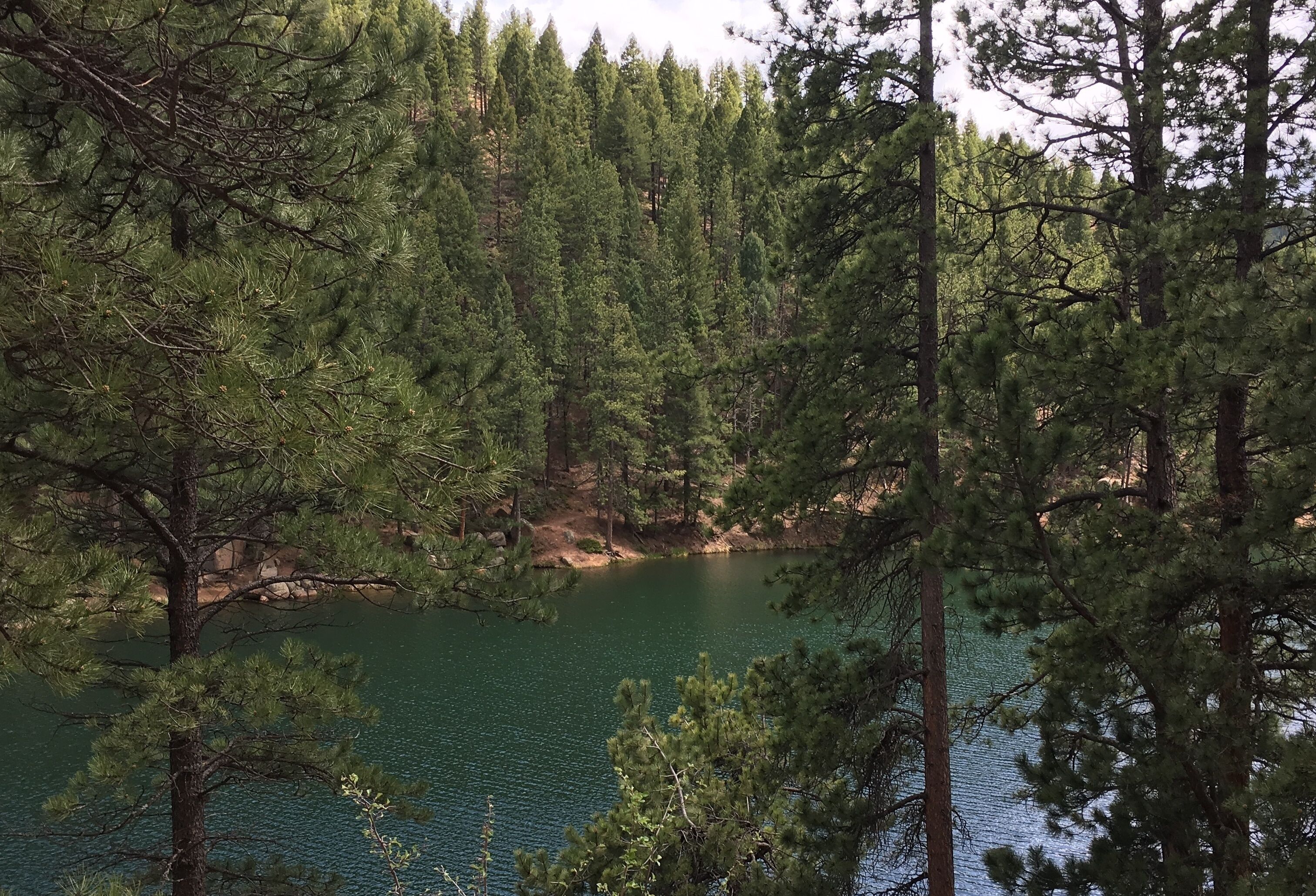 One of our favorite trails to hike - the Reservoir Trail in Palmer Lake, Colorado.

#hike #outdoors #hiking #colorado #hiker #naturephotography #beautifuldestinations #explore 