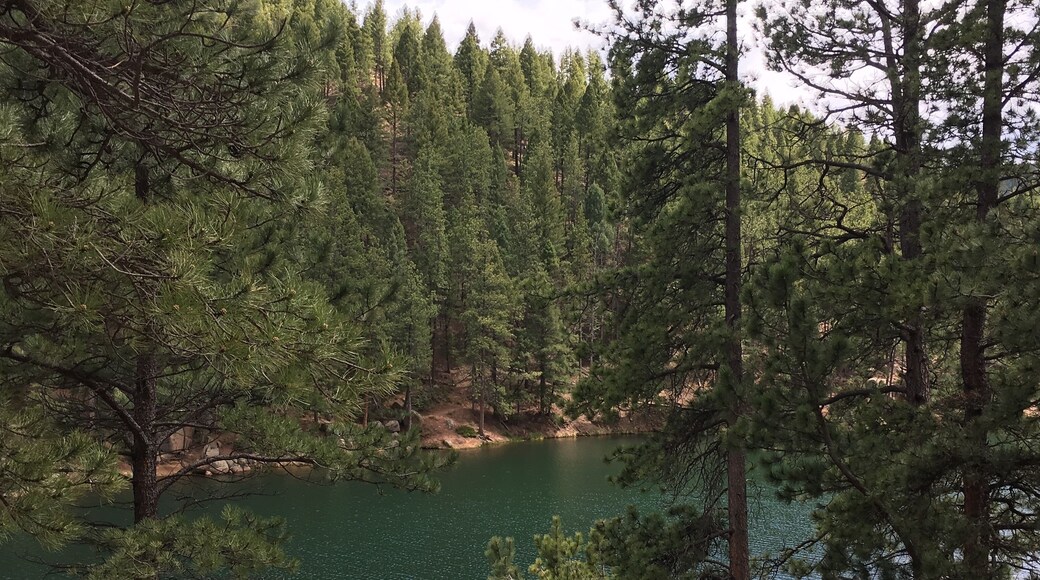 One of our favorite trails to hike - the Reservoir Trail in Palmer Lake, Colorado.
#hike #outdoors #hiking #colorado #hiker #naturephotography #beautifuldestinations #explore