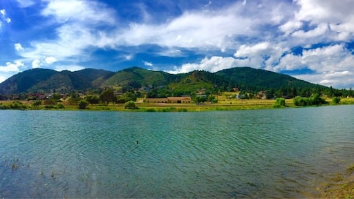 Discovered this stunning beauty in the old suburb town of Palmer Lake, CO