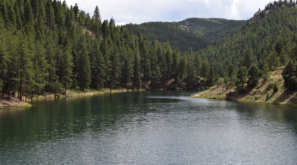 This is one of our favorite places to be hiking. You can hike for hours and not see another hiker because of how many trails there are.