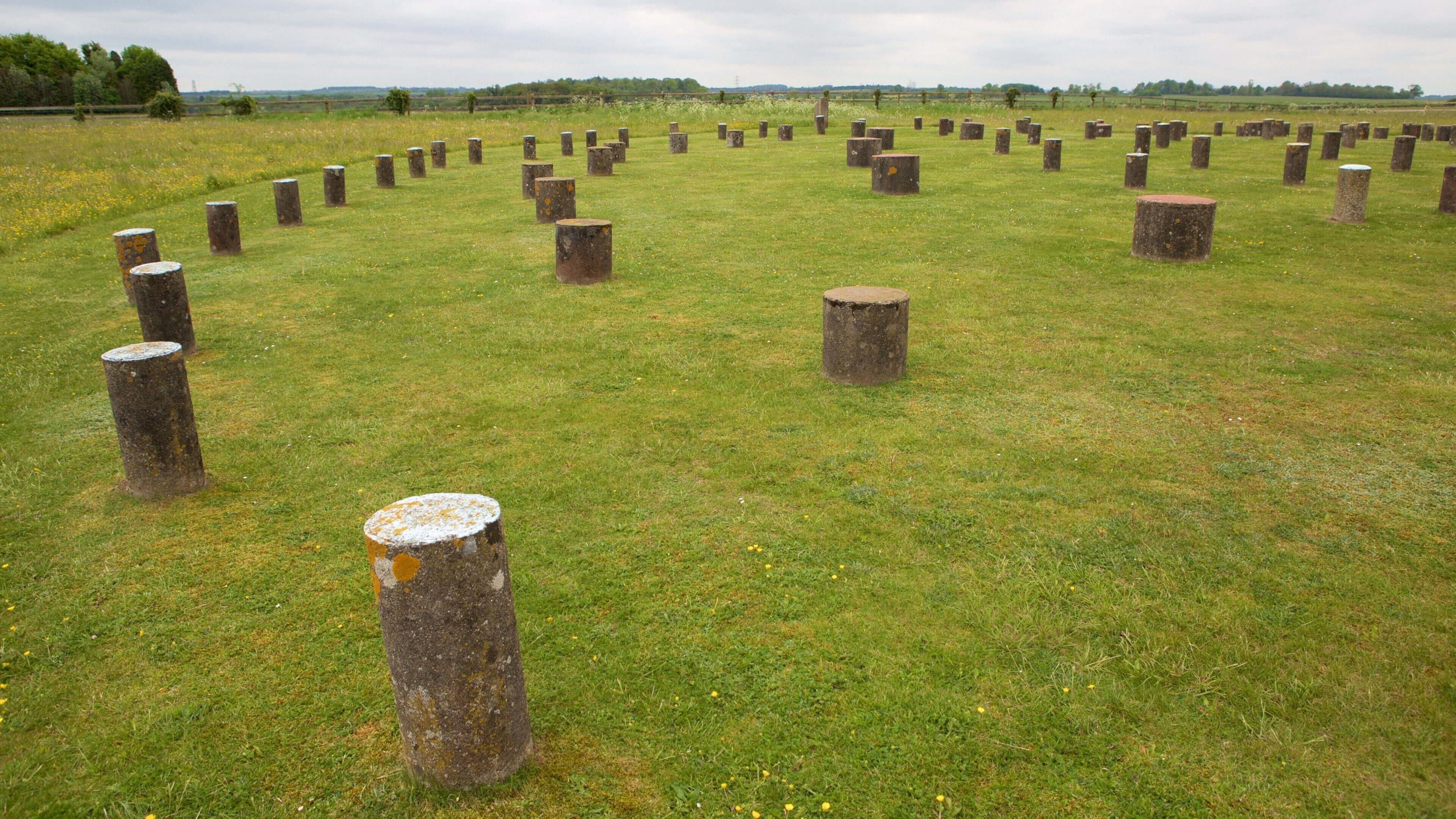 Woodhenge showing tranquil scenes and outdoor art