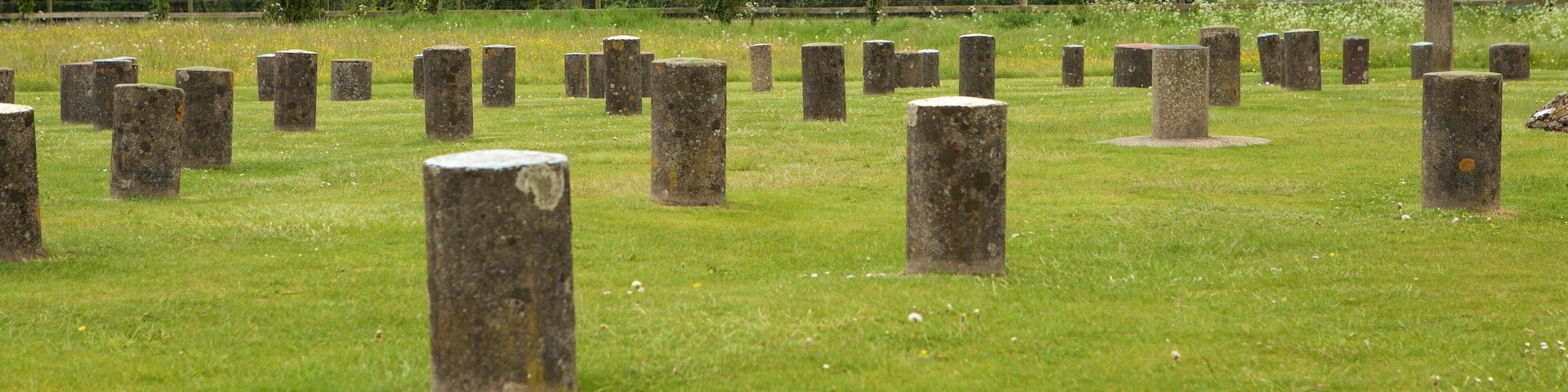 Woodhenge que inclui cenas tranquilas, arte ao ar livre e um monumento