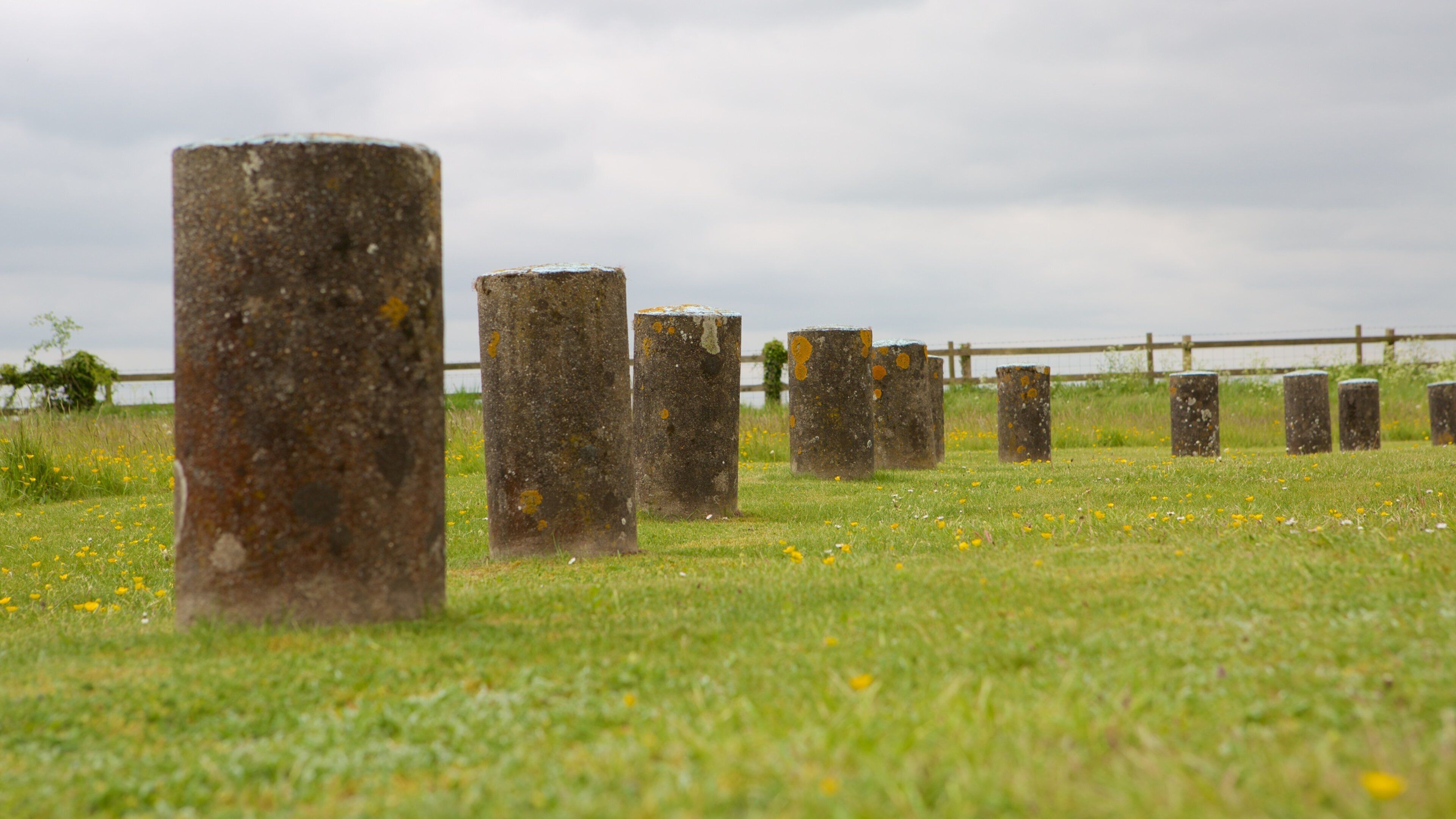 Woodhenge แสดง อนุสาวรีย์, ทิวทัศน์ที่เงียบสงบ และ ศิลปะกลางแจ้ง