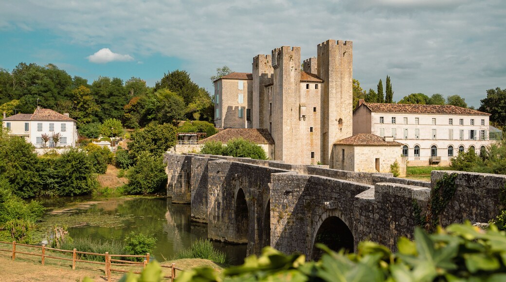 Plan d'ensemble du moulin des tours avec son pont à Barbaste