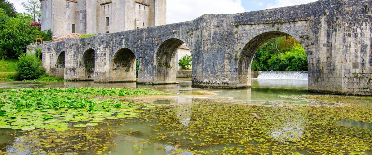 A stone bridge with arches, a castle in the background, and a pond with lily pads.