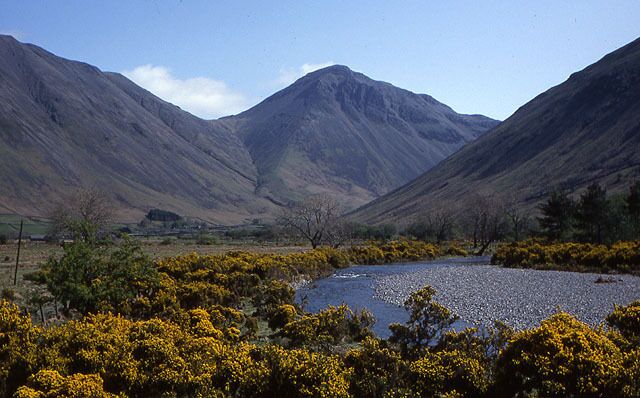 The Lingmell Beck From the track to Brackenclose, with Great Gable in the distance, and the gorse in full bloom.