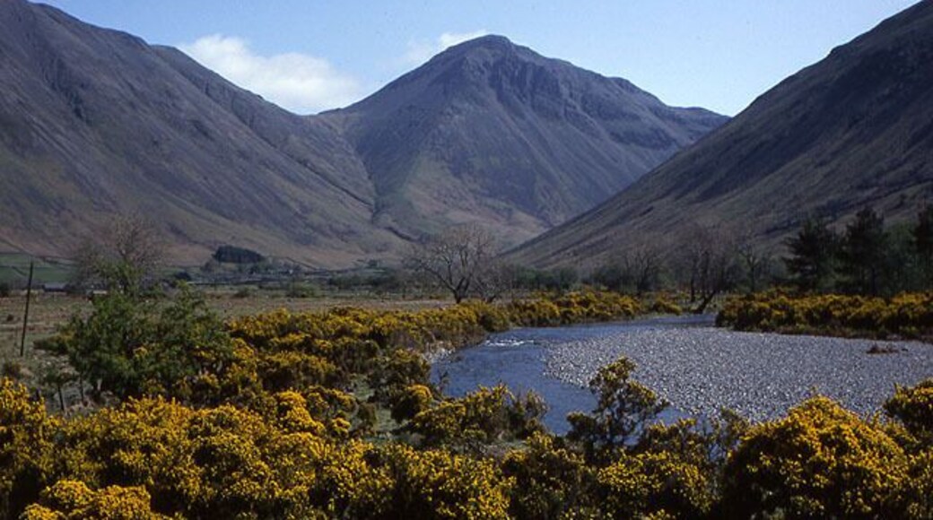The Lingmell Beck From the track to Brackenclose, with Great Gable in the distance, and the gorse in full bloom.