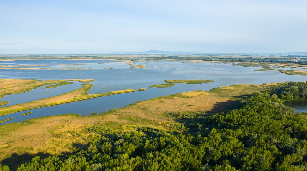 Aerial view of Tisza Lake.