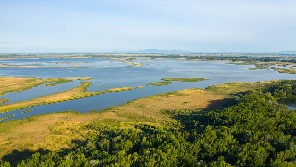 A coastal landscape with a river delta, dense forest, and distant mountains.
