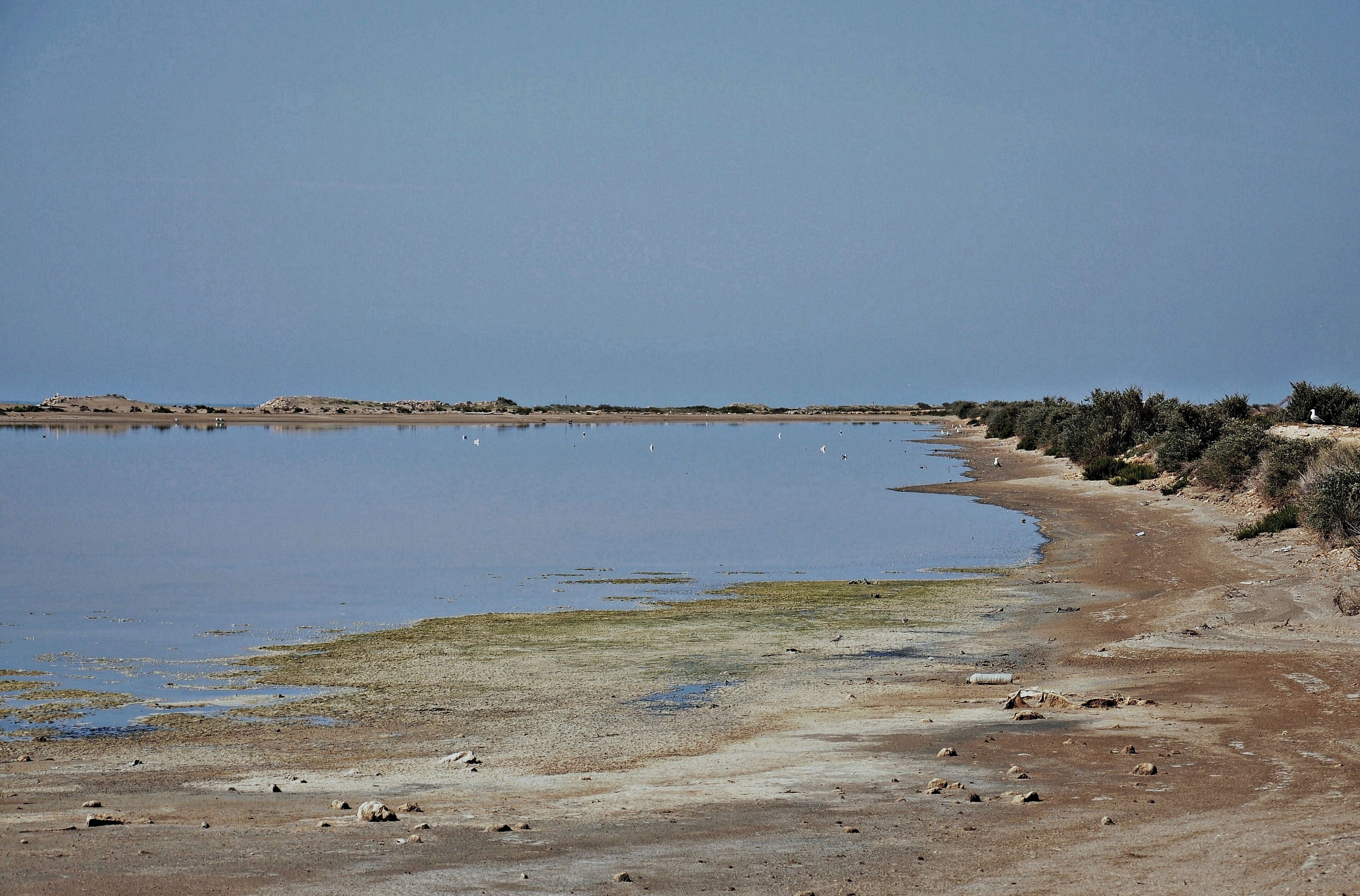 salinas de la trinitat-2011