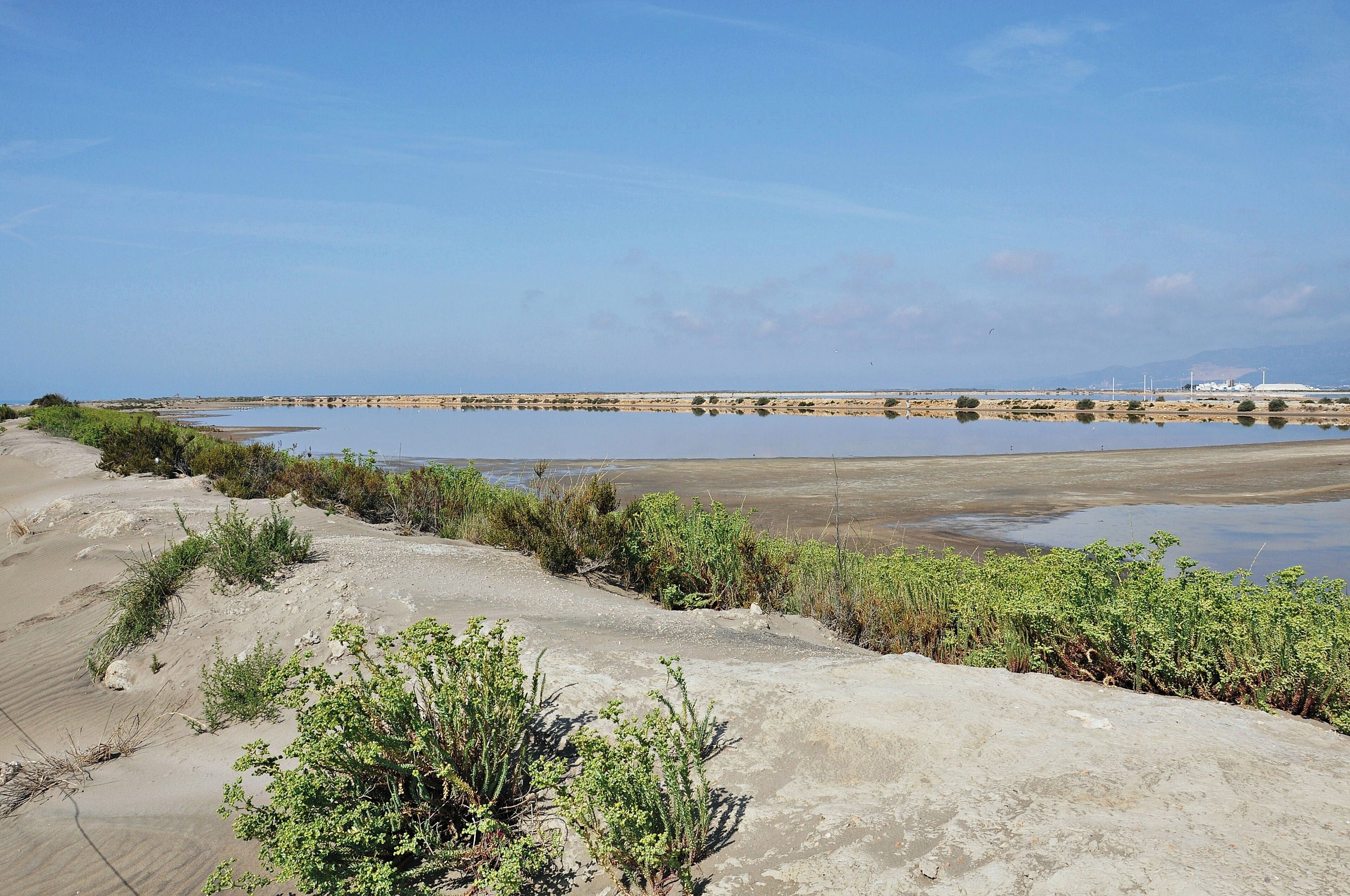 salinas de la trinitat-2011
