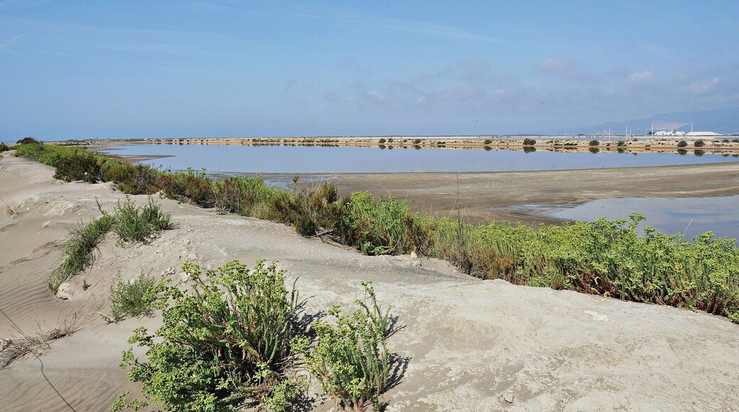 salinas de la trinitat-2011