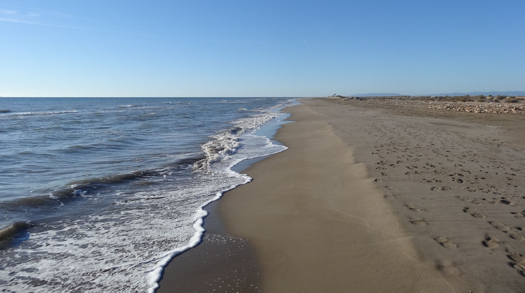 Costa de Fora de La Banya, Delta de l'Ebre (desembre 2012)