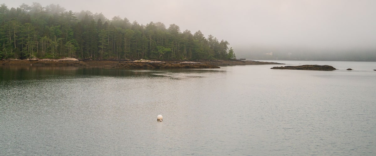 A calm lake with a buoy in the center, surrounded by a dense forest and a misty shoreline.