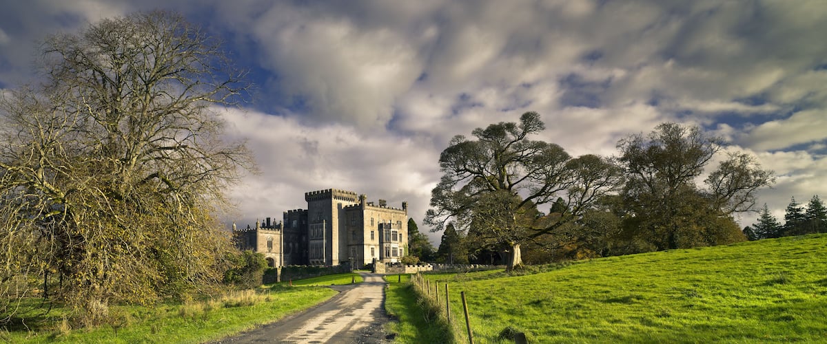 A castle surrounded by trees and a grassy field.