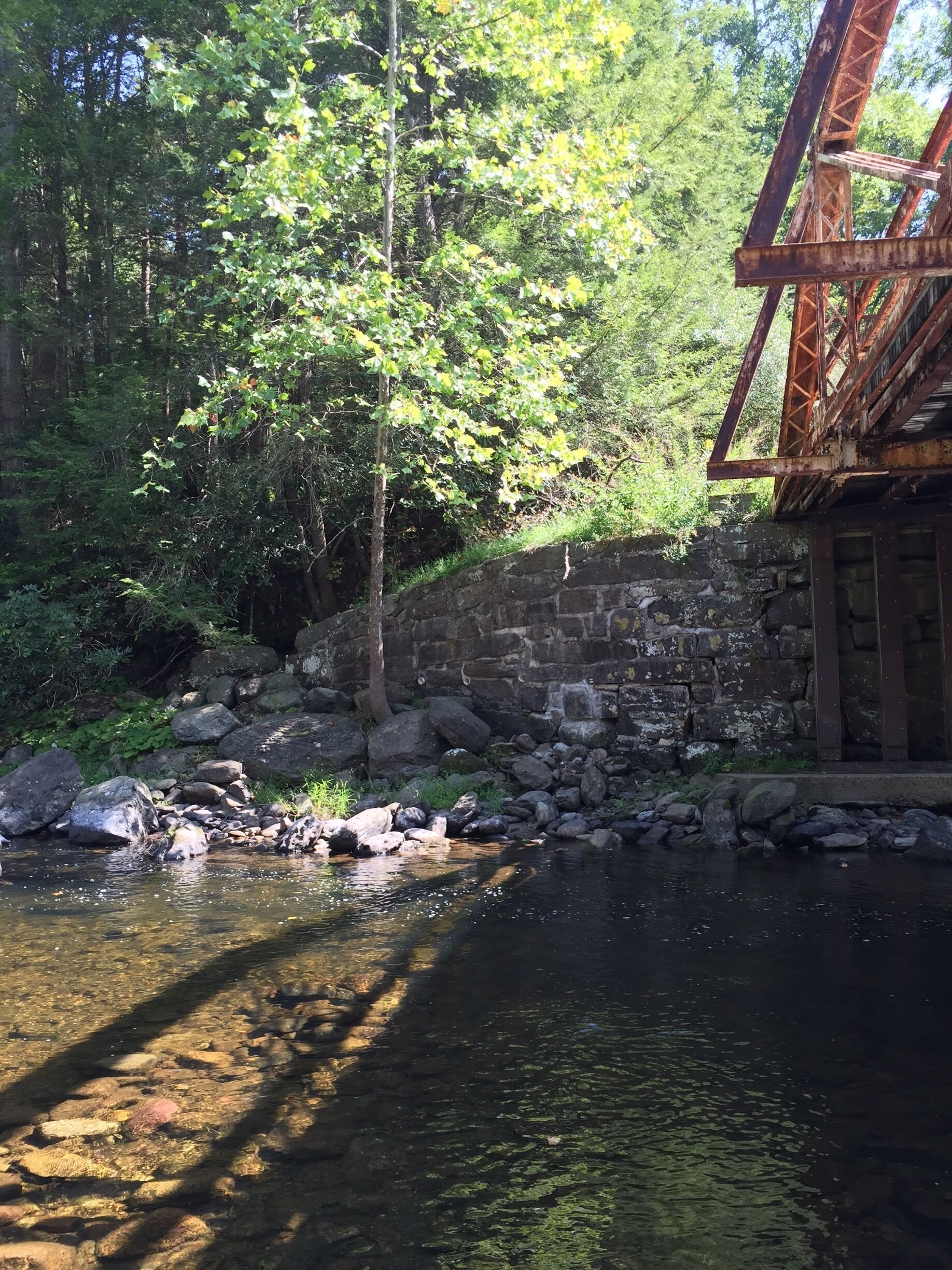 Beautiful fishing hole deep in the woods, we just spotted a mama bear and 2 Cubs having a quick drink from the "crick" just moments before this picture was taken. 