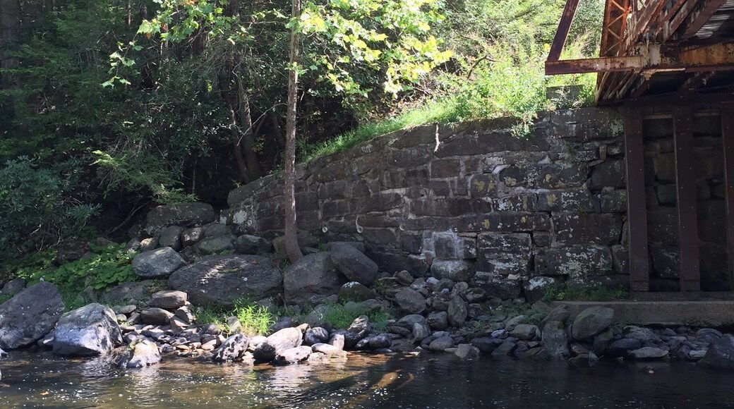 Beautiful fishing hole deep in the woods, we just spotted a mama bear and 2 Cubs having a quick drink from the "crick" just moments before this picture was taken.