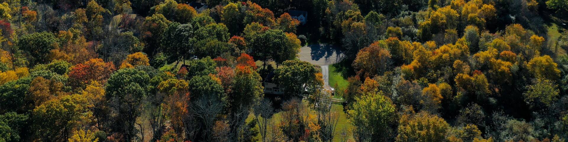 A vast landscape with a mix of green fields and dense forests displaying autumn foliage.