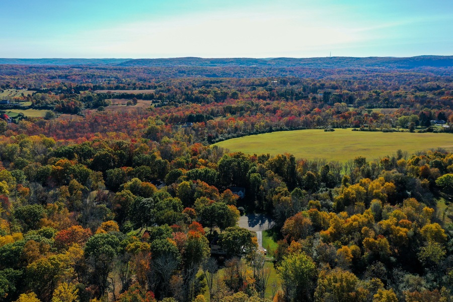A vast landscape with a mix of green fields and dense forests displaying autumn foliage.