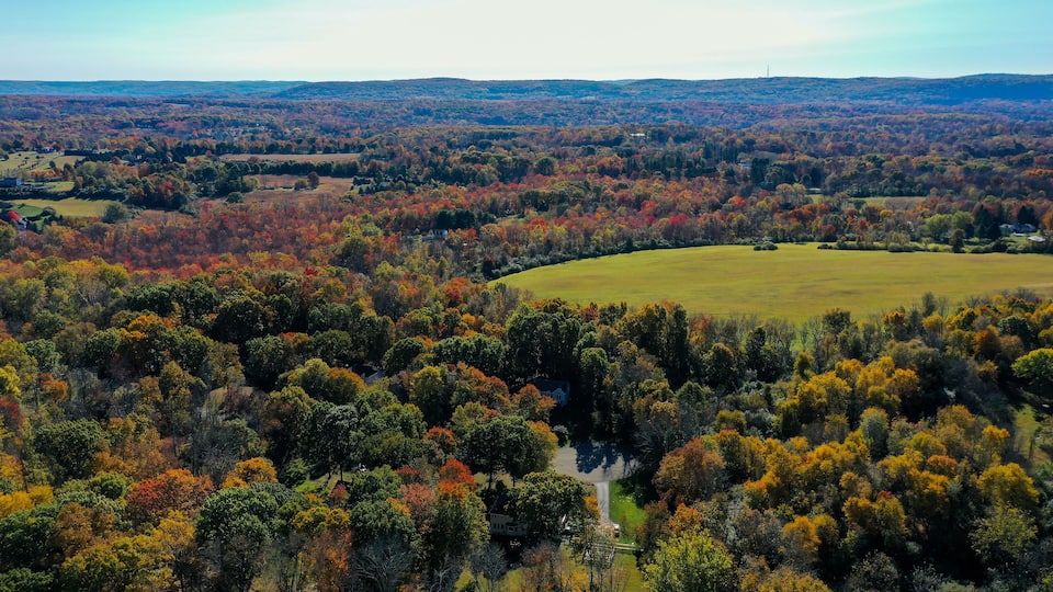 A vast landscape with a mix of green fields and dense forests displaying autumn foliage.