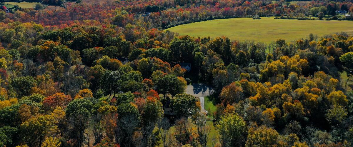 A vast landscape with a mix of green fields and dense forests displaying autumn foliage.