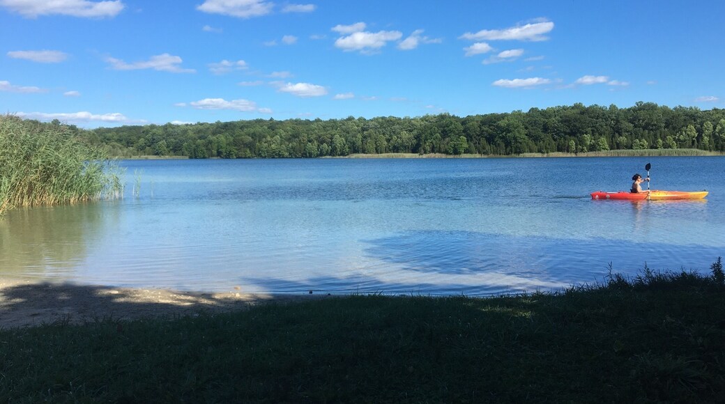Beautifully clear and warm lake. Went here with my dog and saw several kayakers. Not a huge lake but very pretty. Short walking trails too.