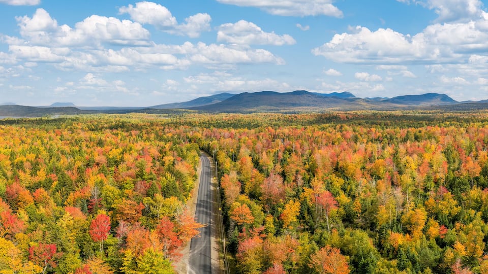 Scenic Drive in autumn near Moosehead Lake - Maine