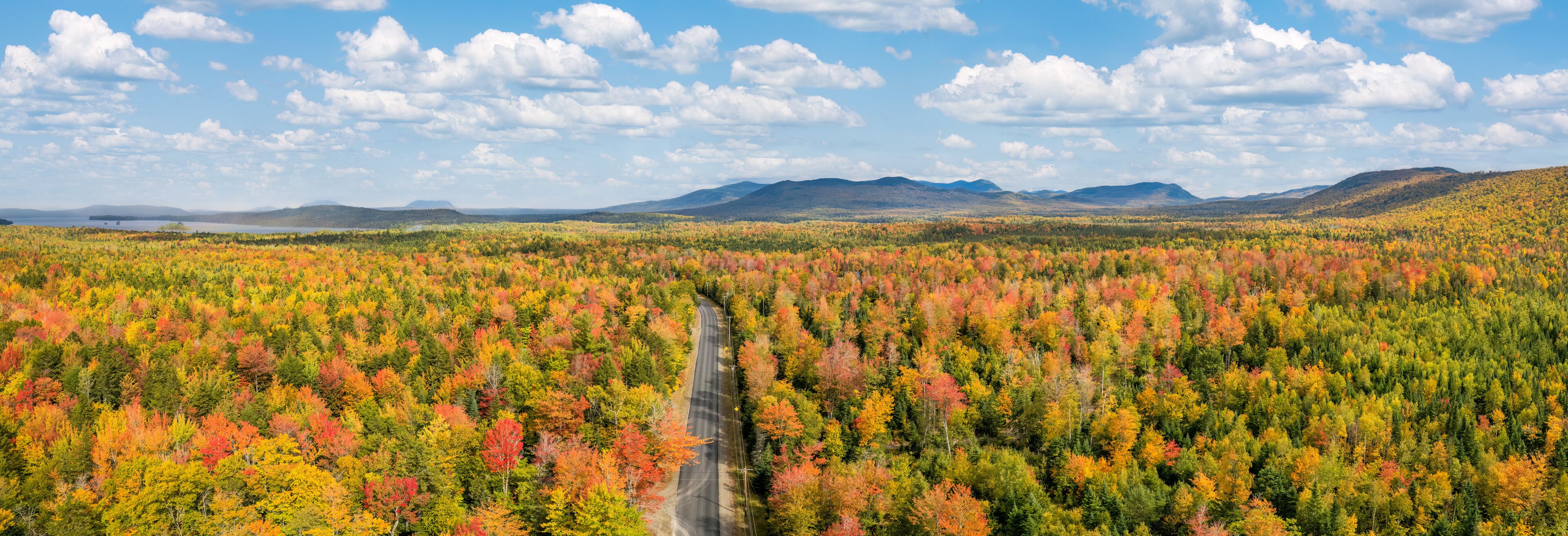 A forest with autumn foliage, a winding road, and distant mountains.