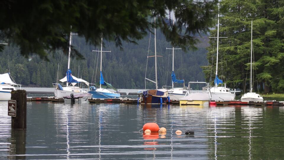 Sailboats in dock at Dexter Lake