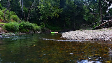 Nature Surrounds Floaters on Caddo River