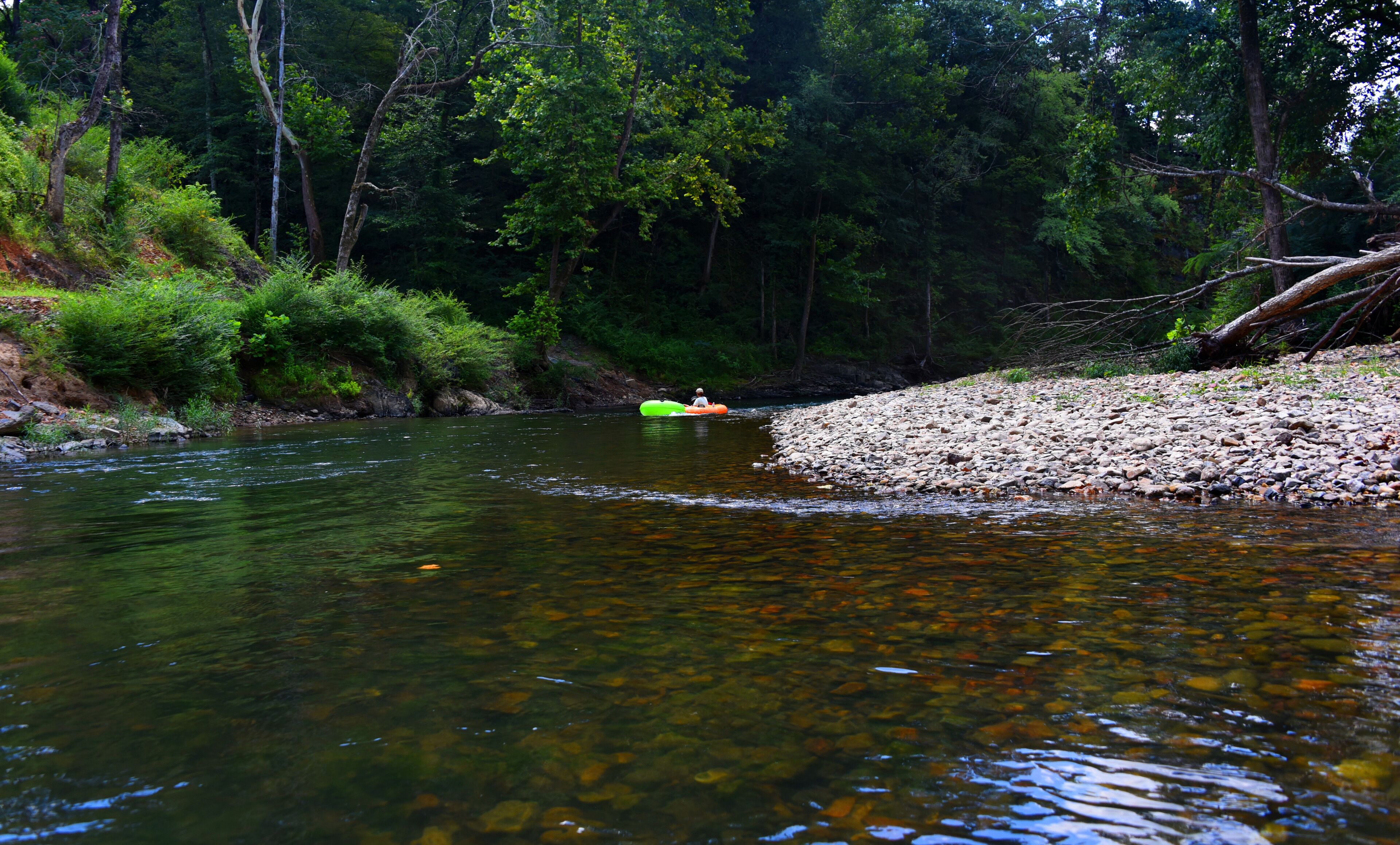 A river with clear water, surrounded by dense forest and a rocky bank.