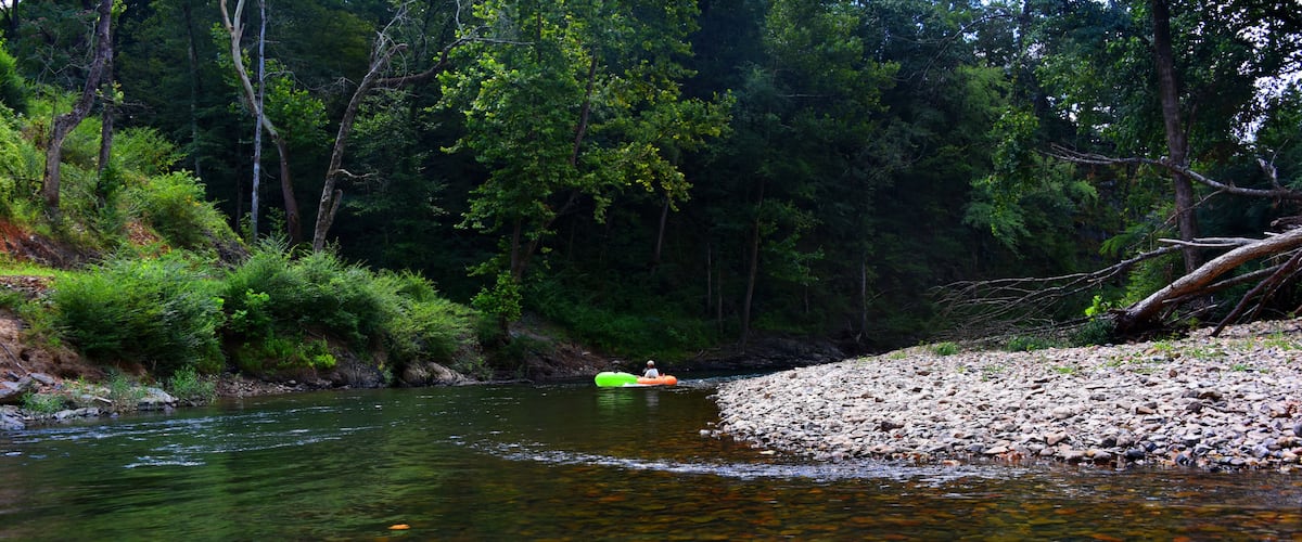 A river with clear water, surrounded by dense forest and a rocky bank.