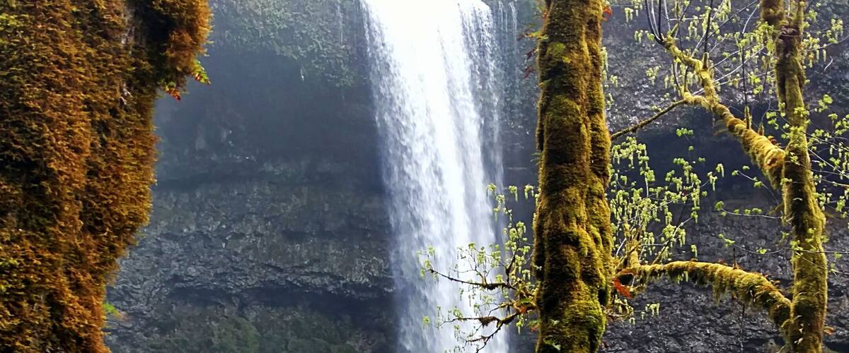 A waterfall cascading down a moss-covered cliff into a river, surrounded by lush greenery and tall trees.