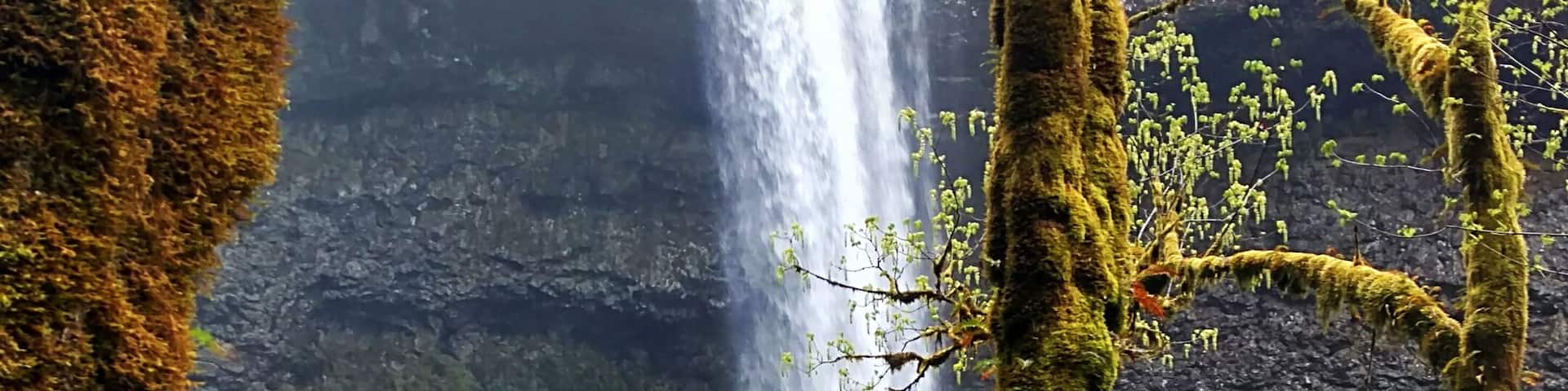 A waterfall cascading down a moss-covered cliff into a river, surrounded by lush greenery and tall trees.