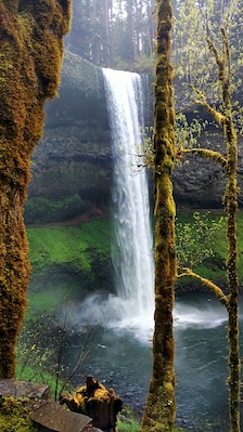 A waterfall cascading down a moss-covered cliff into a river, surrounded by lush greenery and tall trees.