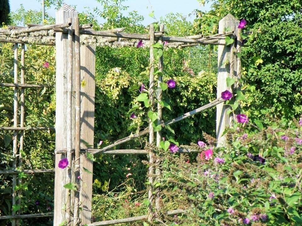 I love the blooming flowers on the handmade trellis and a peak of blue sky. The PNW doesn't get a lot of blue sky in the spring so when we see it we all go outside and enjoy. 
#oregongarden #green
