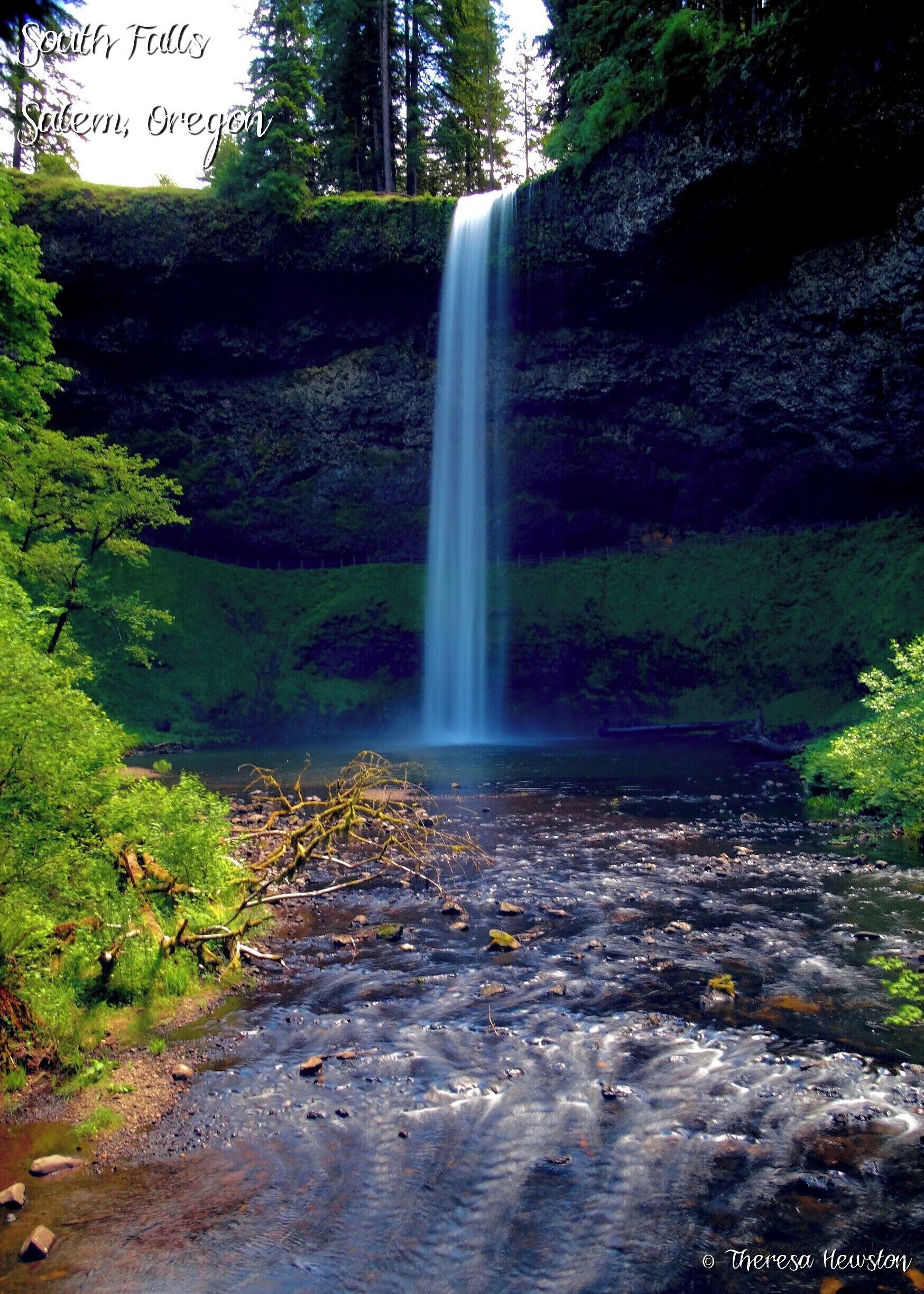 A waterfall in a forested area with lush greenery and a river at the base.