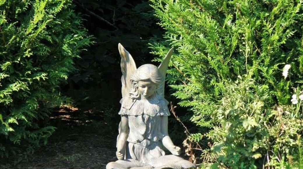 Who doesn't love a fairy in their garden? #oregongarden #green