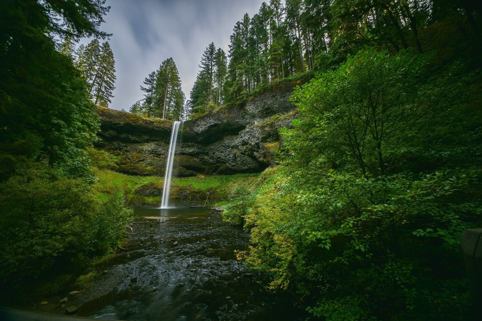 A waterfall in a lush green forest with dense trees and rocky terrain.