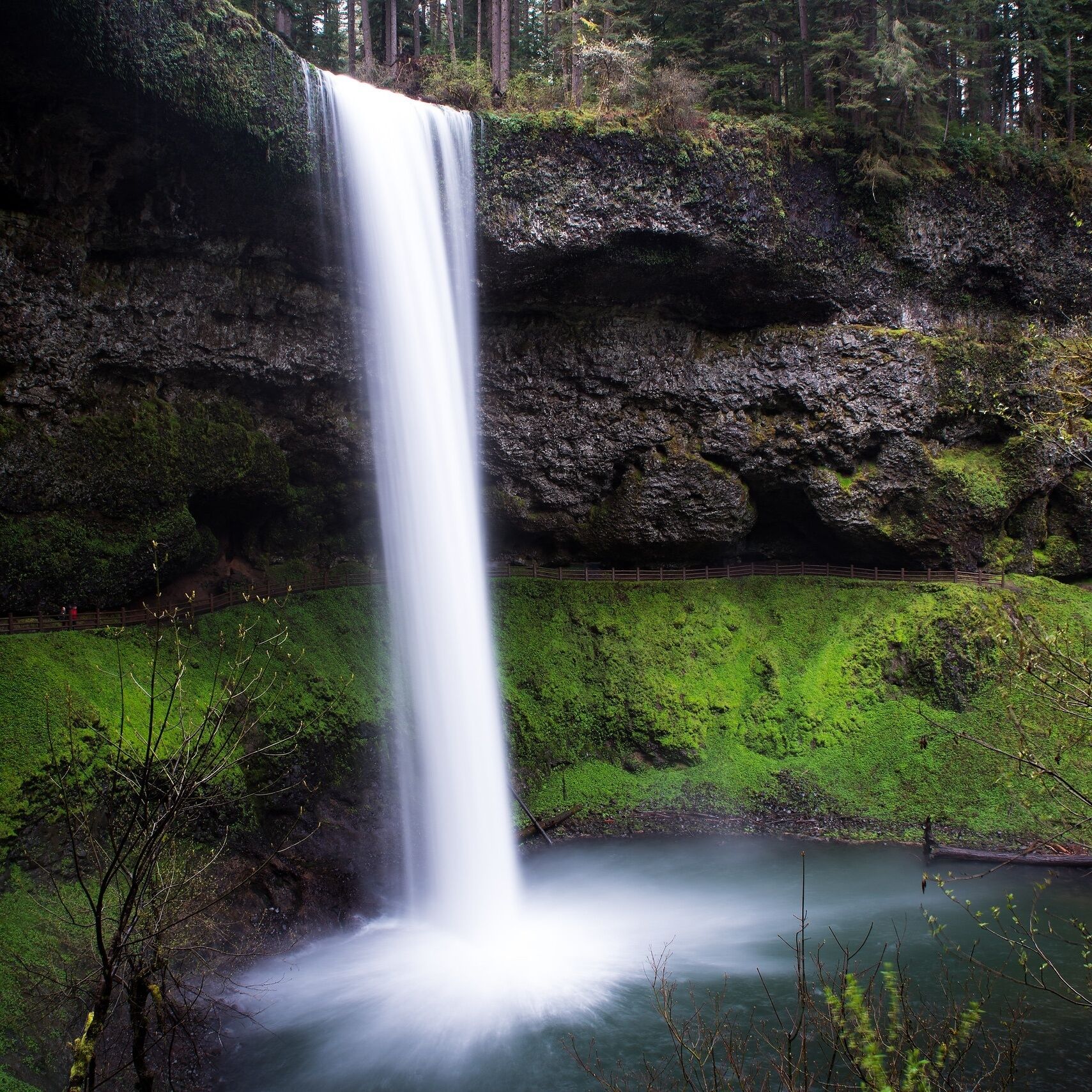 A waterfall cascading into a pond surrounded by forested cliffs.