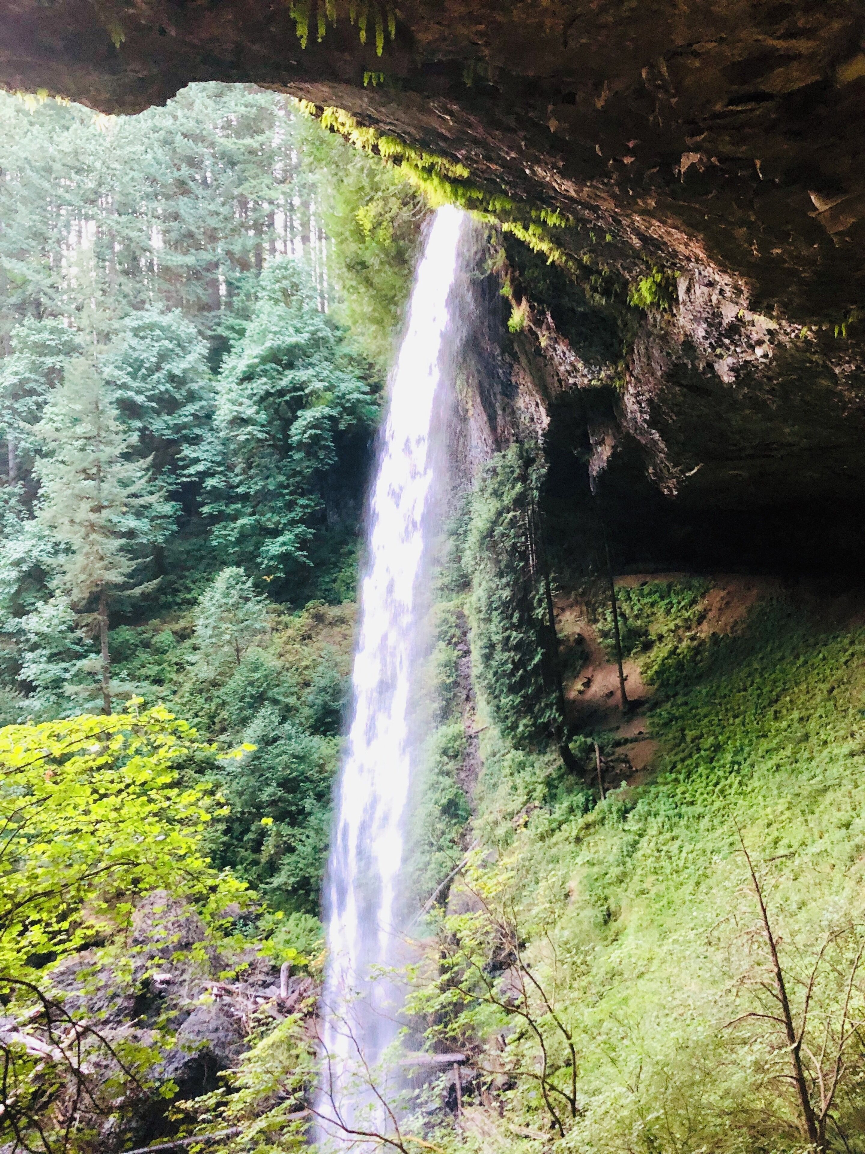 A waterfall cascading down a rocky cliff surrounded by lush green forest.