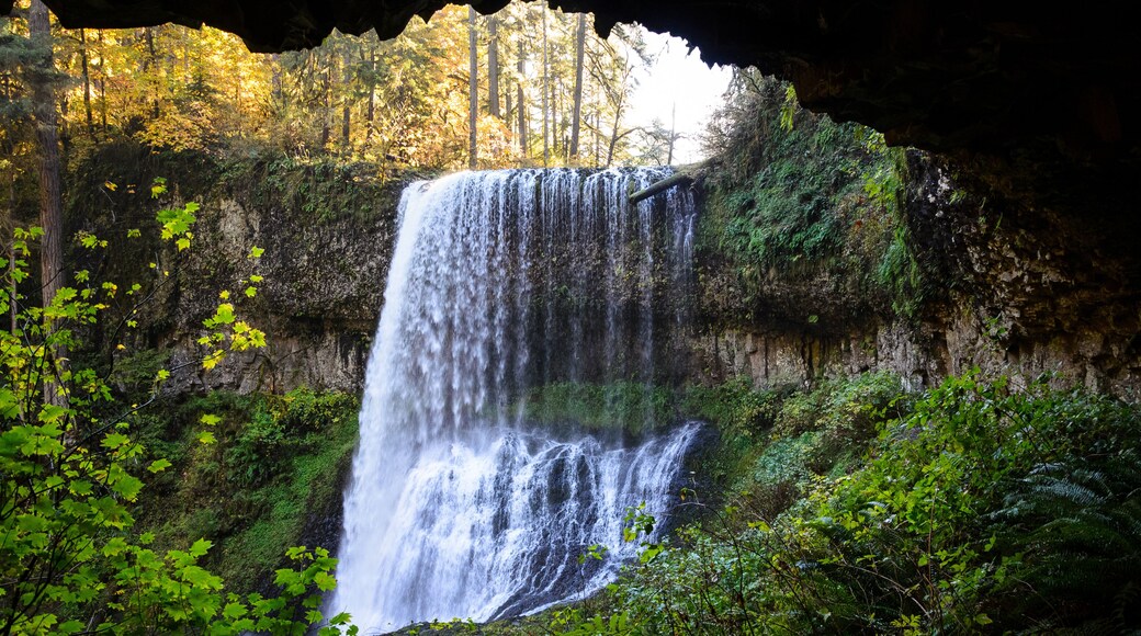 Silver Falls State Park