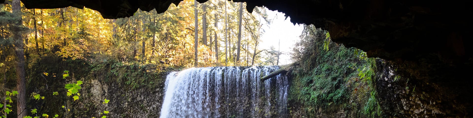 Silver Falls State Park