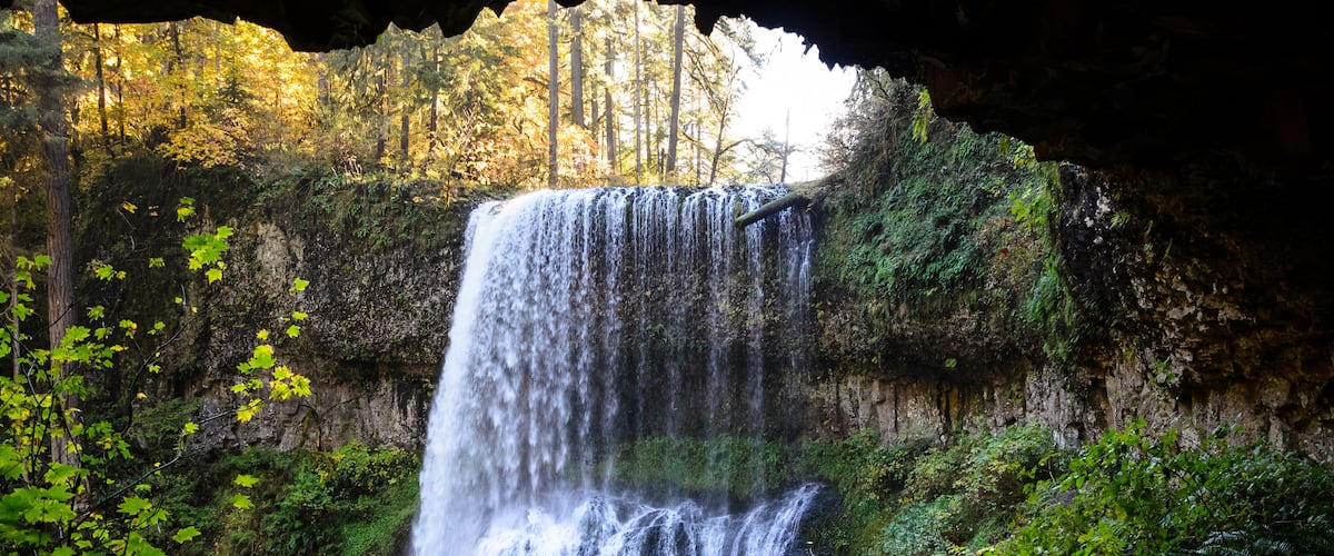 A waterfall cascading down a rocky cliff surrounded by lush greenery.