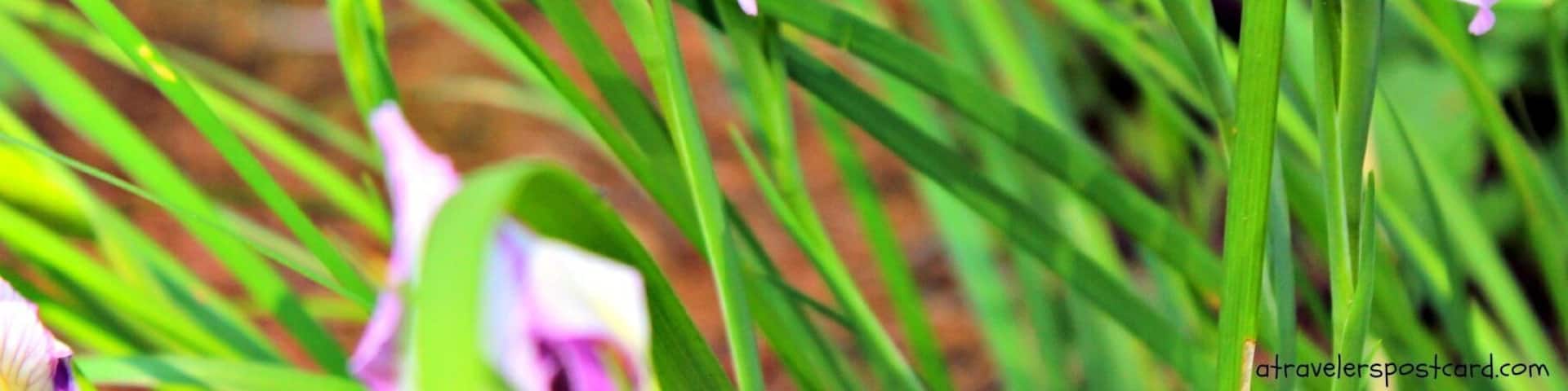 Silver Falls State Park