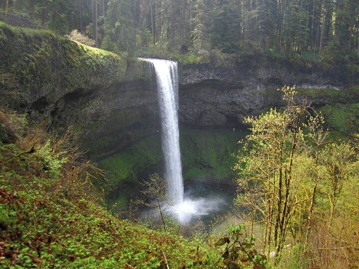 This place is sick!!!!!  For a State Park, this gets 10 stars.  10 mile loop trail with 10 awesome waterfalls.  You actually get to walk behind some of them.  
