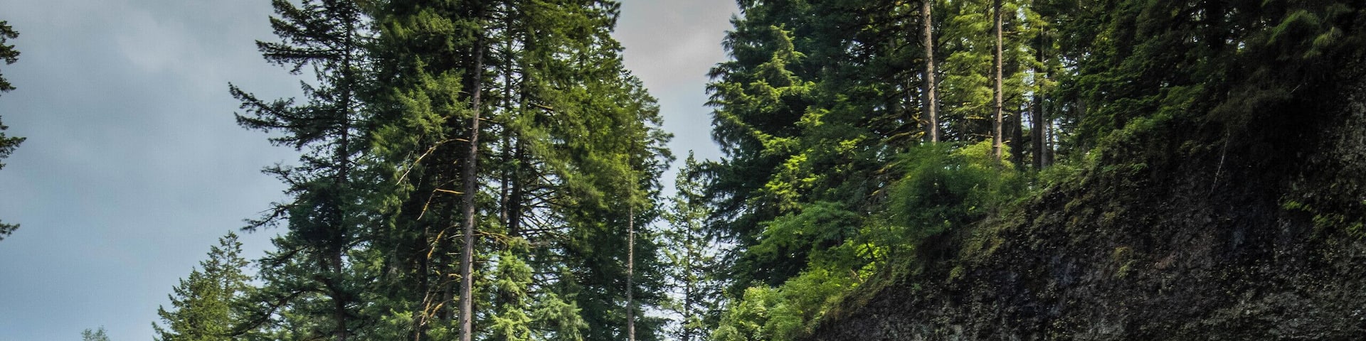 Beautiful day with lots of waterfalls. This was the first one we stopped at. #bthroughthelens #oregon #longexposure #green #waterfalls