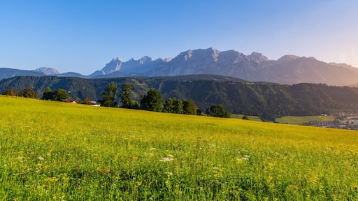 アンナベルク ルンゲーツ