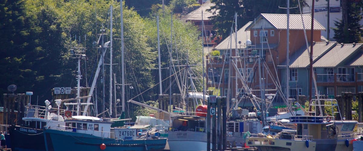 Tofino Hotel Guide